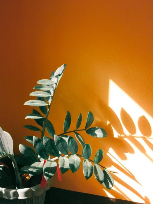 Tendances-deco-mobilier-2024-Be-Home